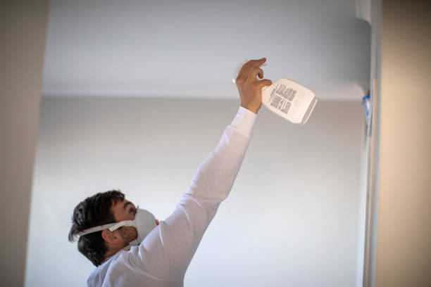 Best Water Damage Restoration  in Reynolds Heights, PA