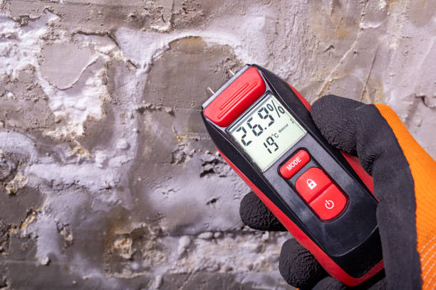 Best Mold Remediation  in Reynolds Heights, PA