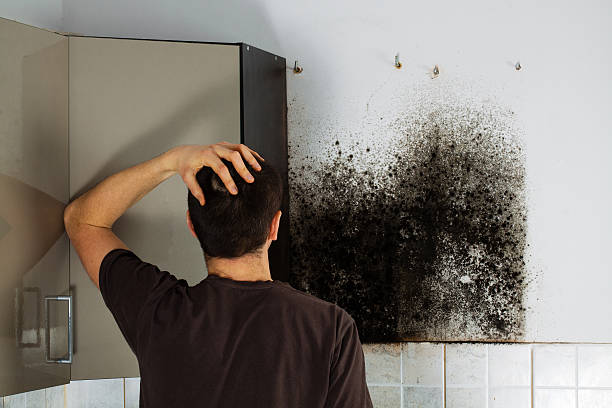 Best Crawl Space Mold Removal  in Reynolds Heights, PA